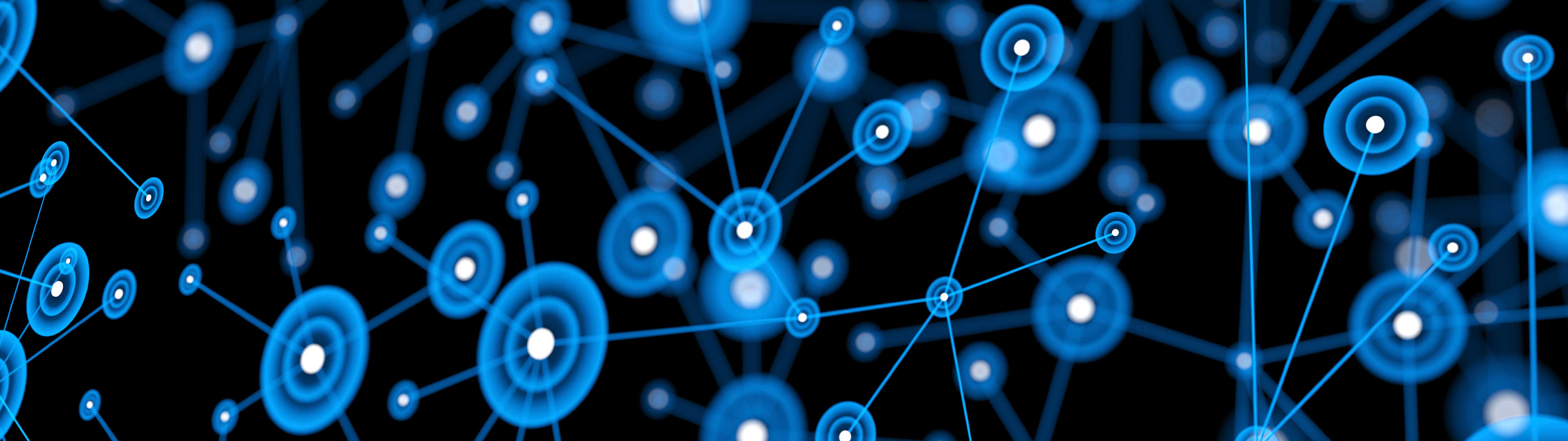 Everything Connected (2025)