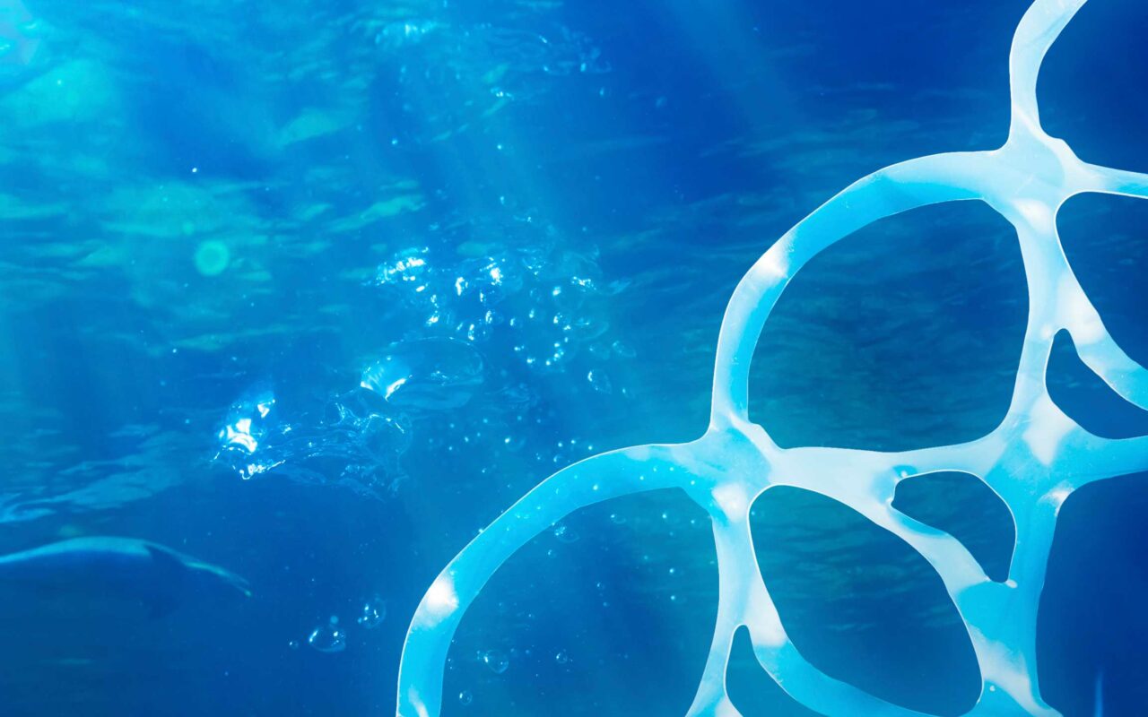 Plastic Oceans - Future Agenda