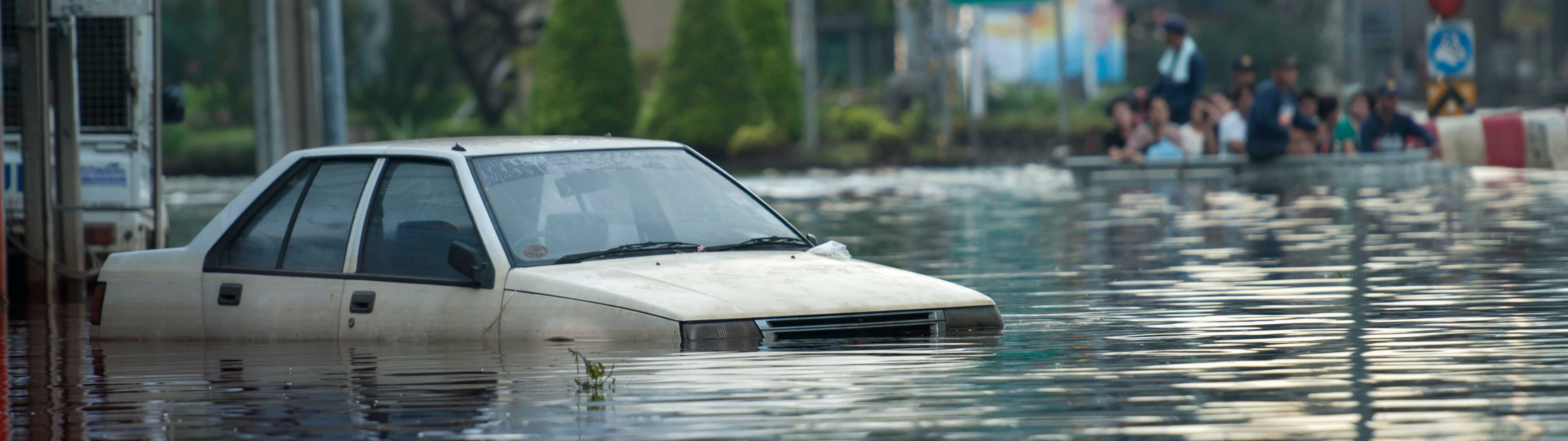 Flooded Cities (2025)