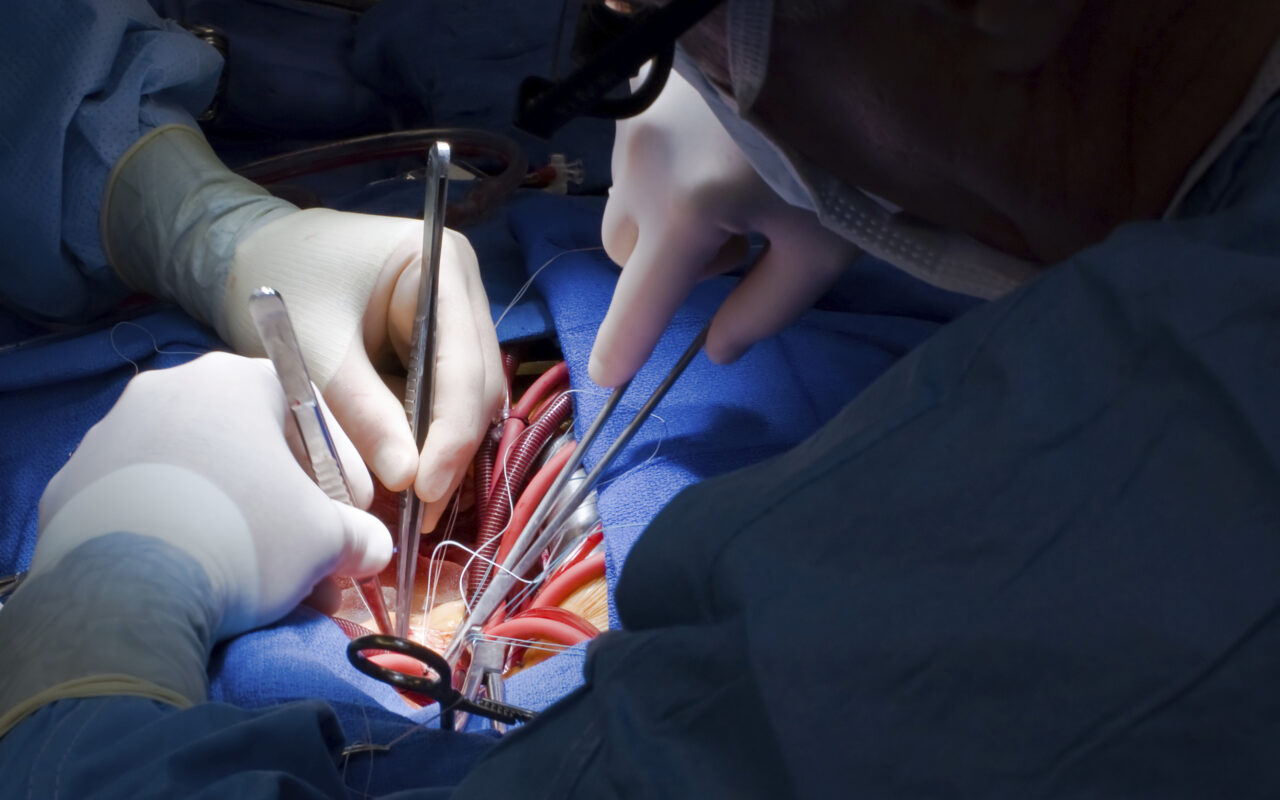 Mass Medical Tourism (2020)