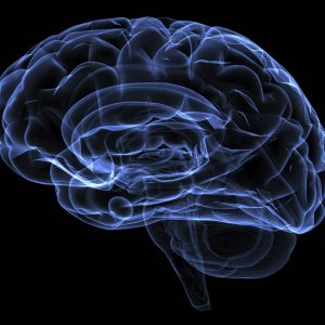 Halting Alzheimer’s