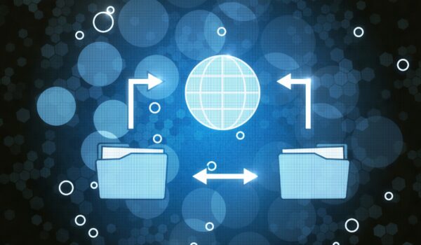Universal Healthcare Data Access