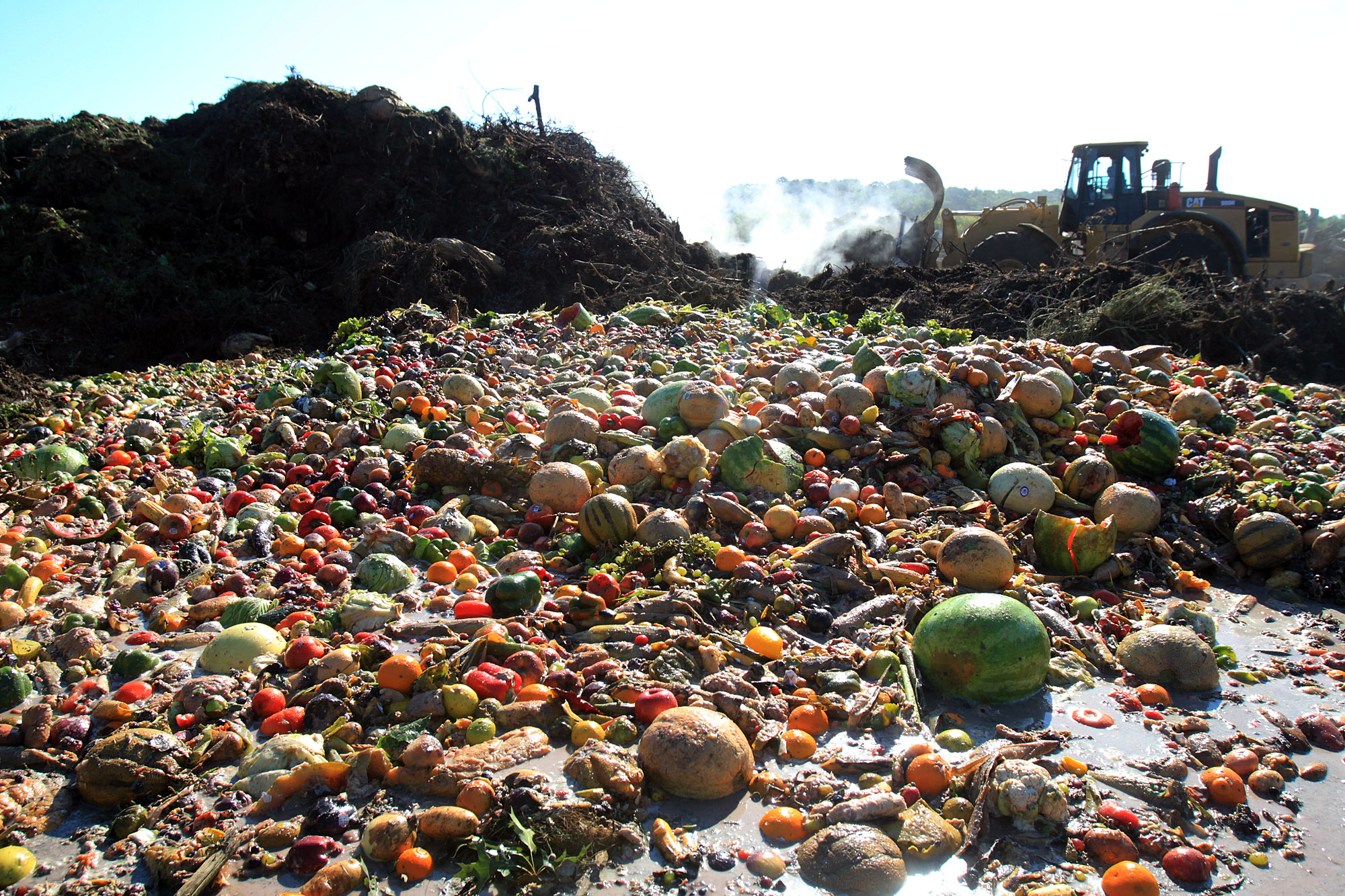 Reducing Food Waste
