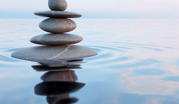 Aligned Initiatives