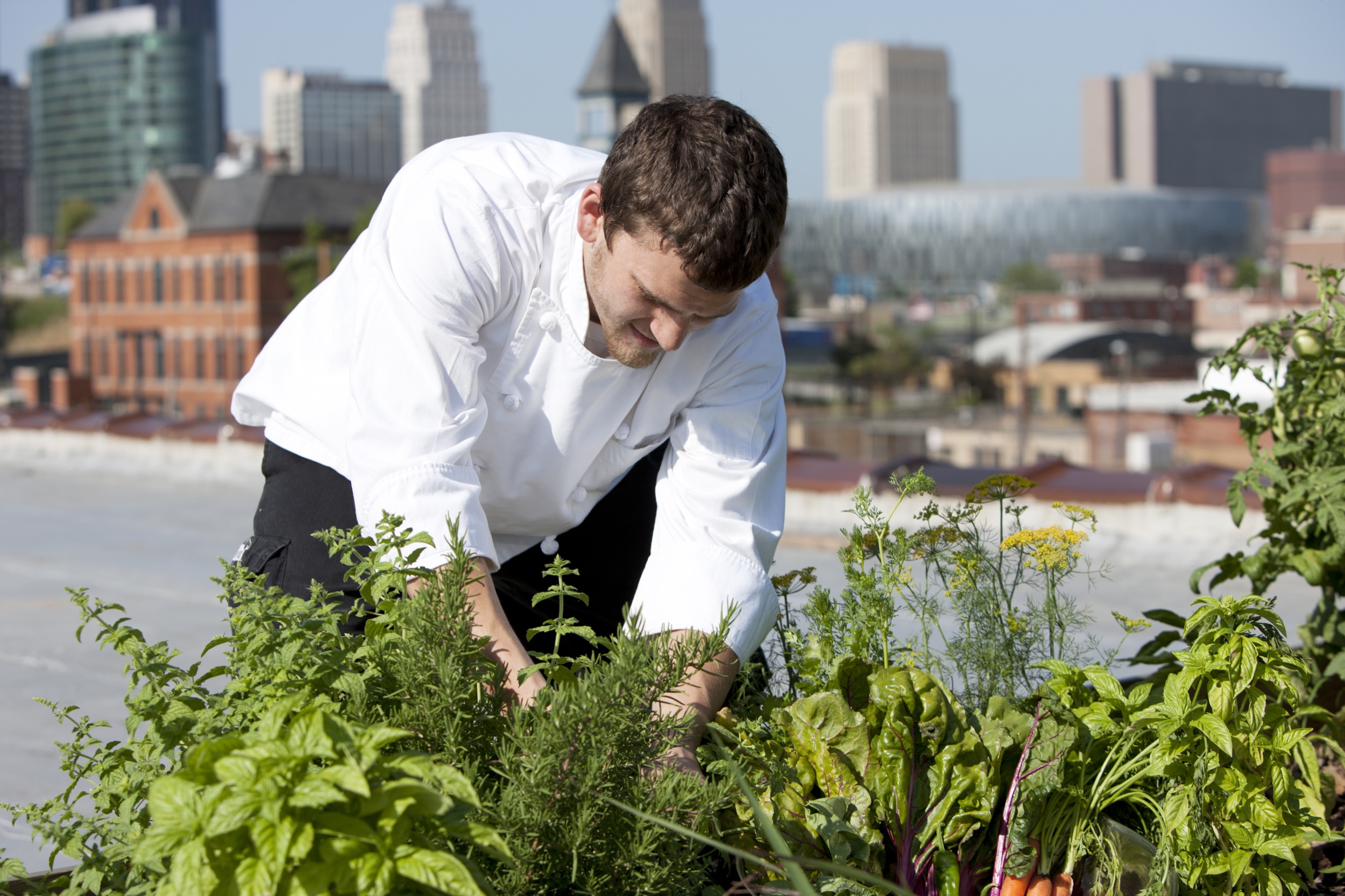 Urban Farming