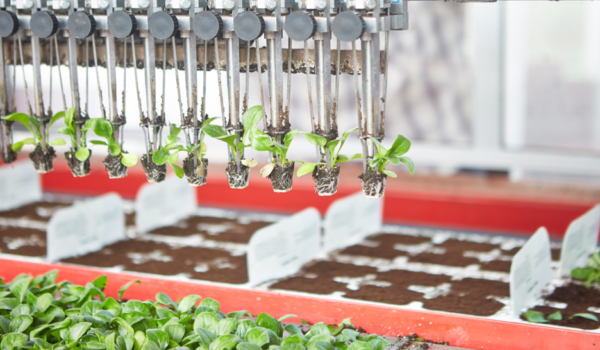 Food Resource Optimisation