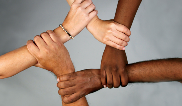 Embracing Diversity