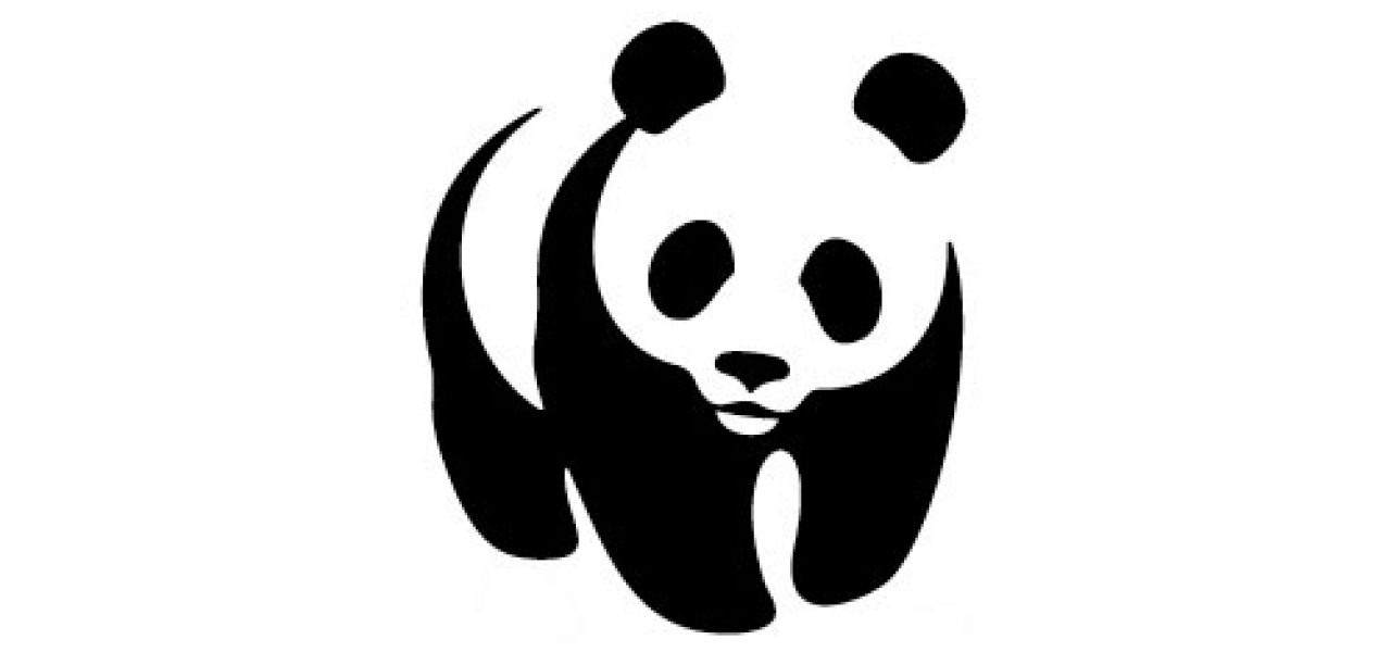 WWF Strategy 