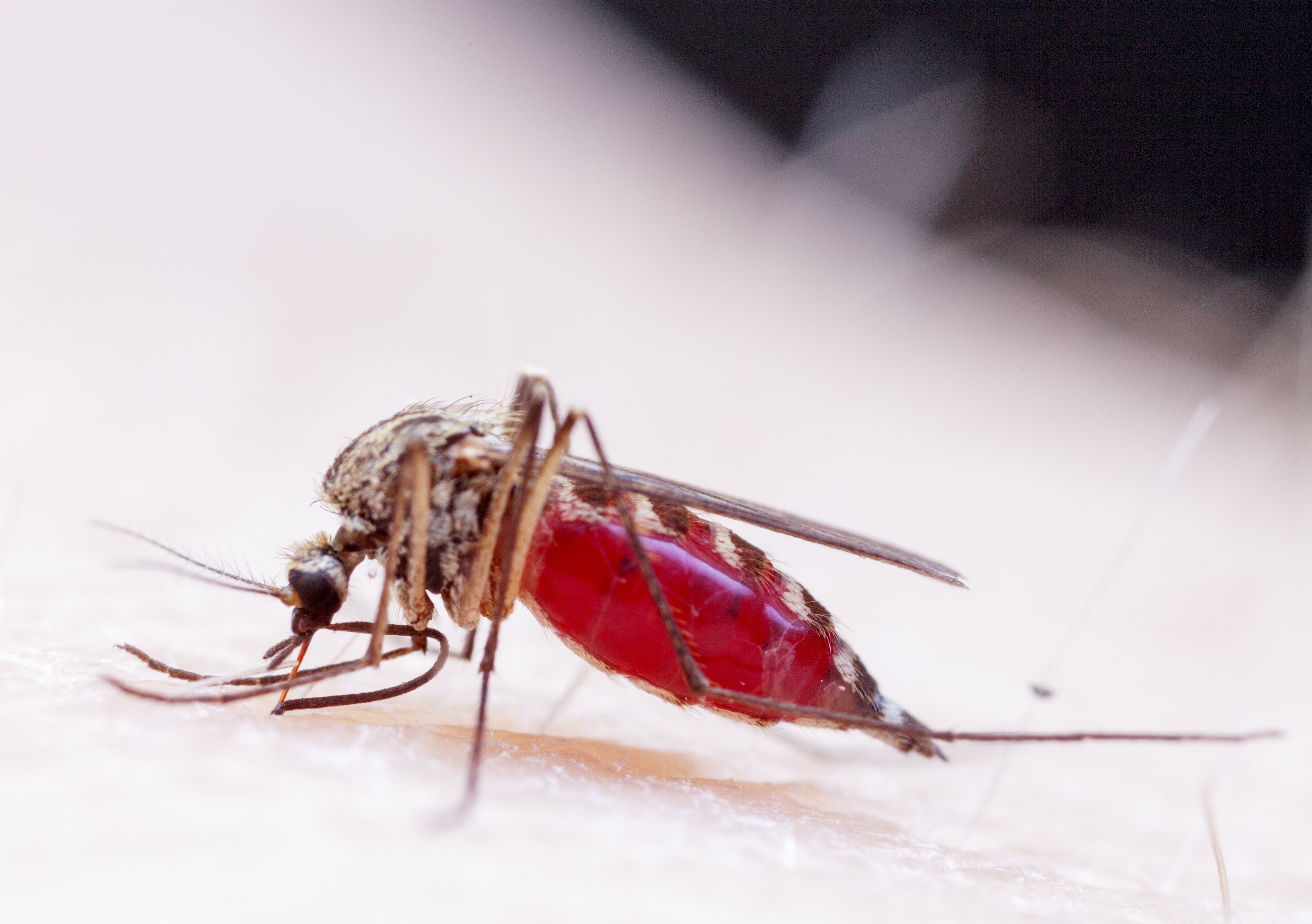 Migrating Diseases (2030)