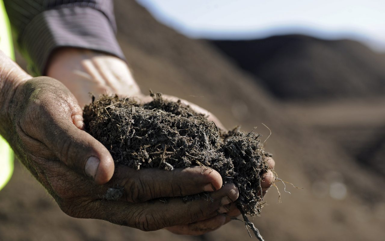 Peak Soil (2030)