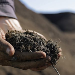Peak Soil (2030)