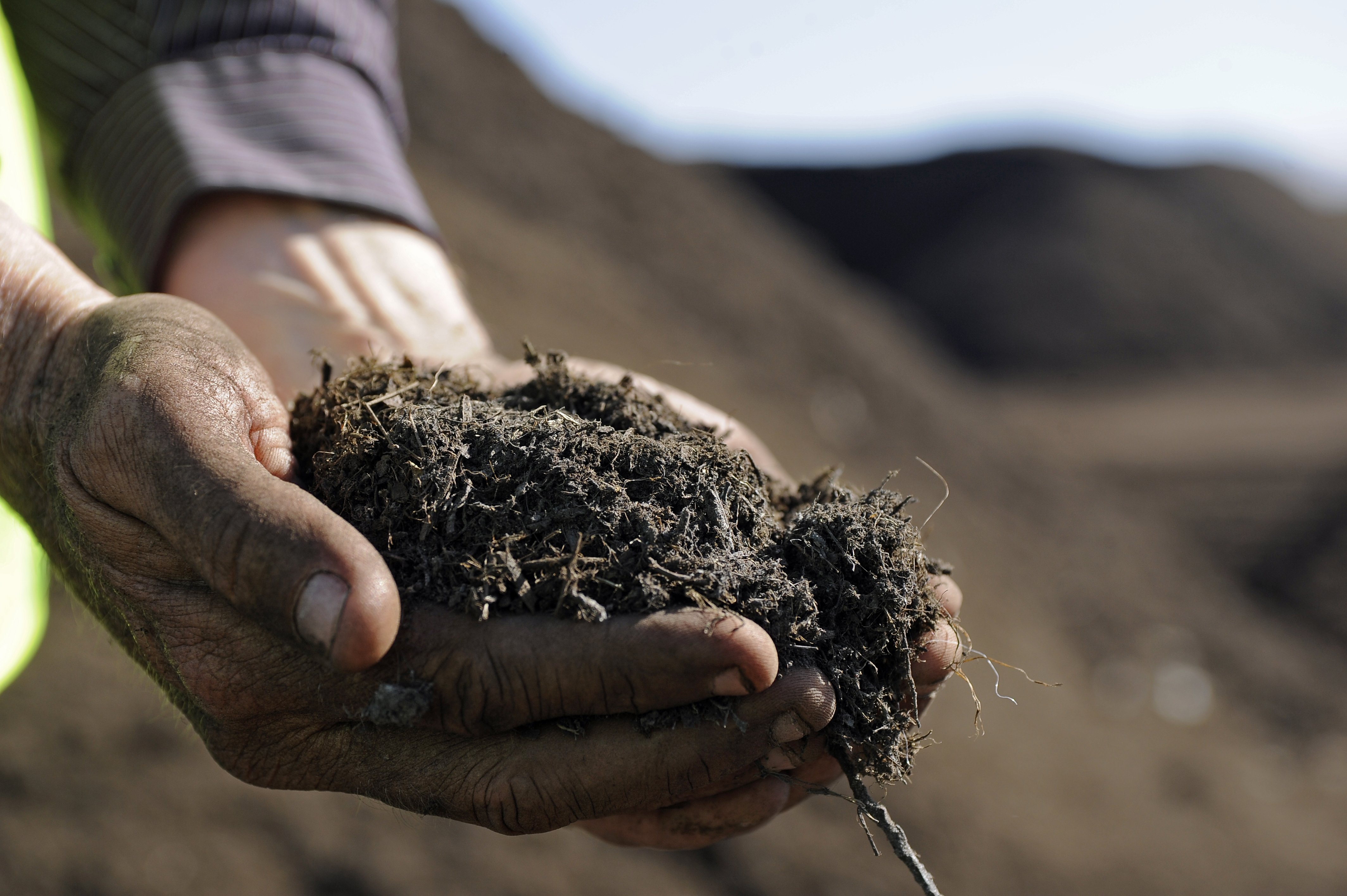 Peak Soil (2030)